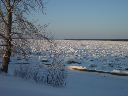 Енисей. Январь 2014.